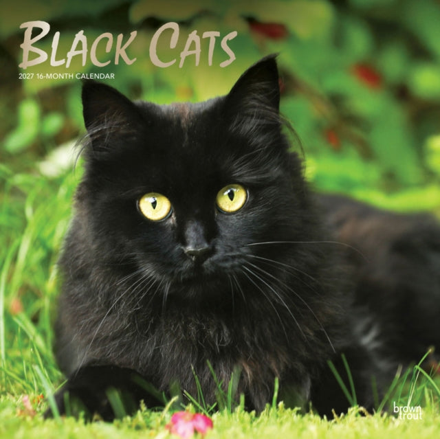Black Cats 2027 12 X 24 Inch (Hanging) Monthly Square Wall Calendar Foil Stamped Cover Plastic-Free cover