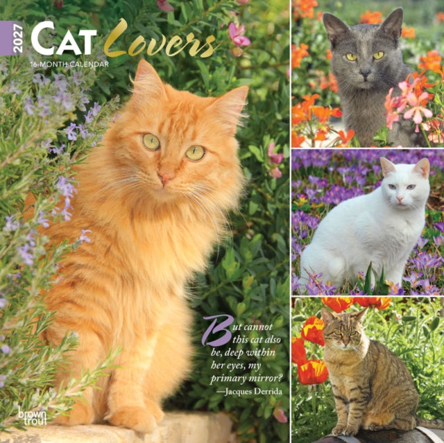 Cat Lovers 2027 12 X 24 Inch (Hanging) Monthly Square Wall Calendar Foil Stamped Cover Plastic-Free cover