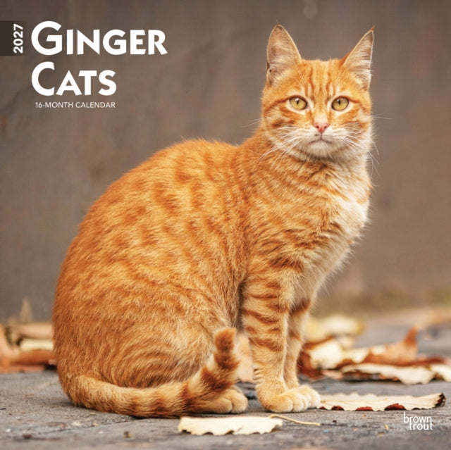 Ginger Cats 2027 12 X 24 Inch (Hanging) Monthly Square Wall Calendar Plastic-Free cover