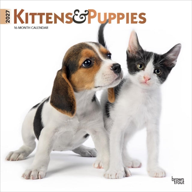 Kittens & Puppies 2027 12 X 24 Inch (Hanging) Monthly Square Wall Calendar Foil Stamped Cover Plastic-Free cover