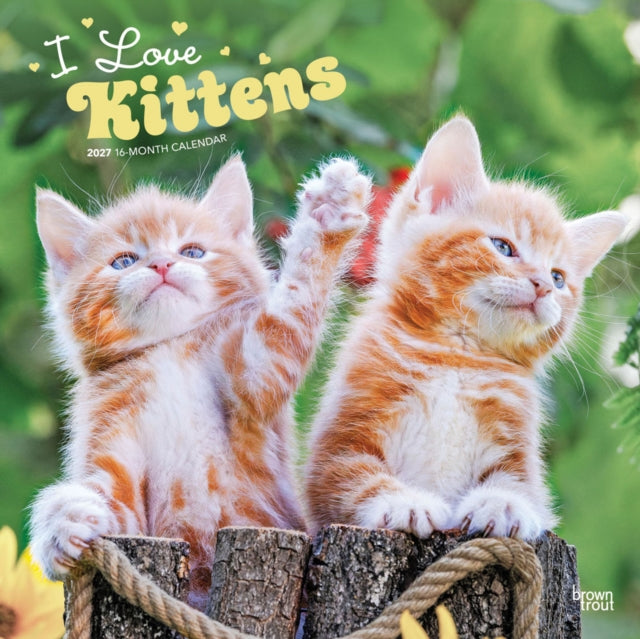 I Love Kittens 2027 12 X 24 Inch (Hanging) Monthly Square Wall Calendar Plastic-Free cover