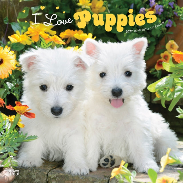 I Love Puppies 2027 12 X 24 Inch (Hanging) Monthly Square Wall Calendar Plastic-Free cover