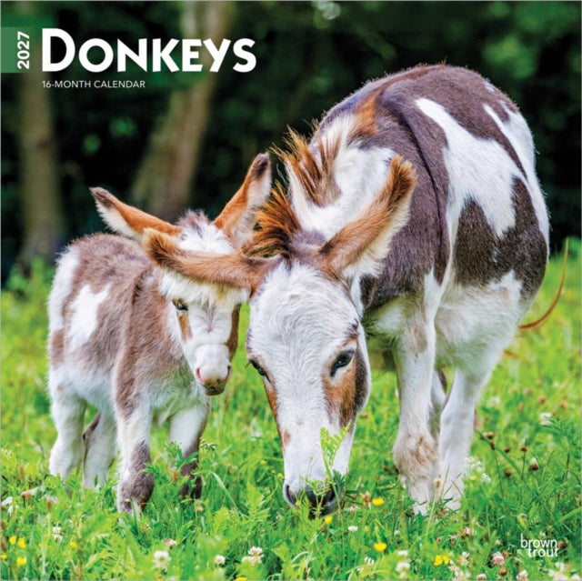 Donkeys | 2027 12 x 24 Inch (Hanging) Monthly Square Wall Calendar | Plastic-Free | BrownTrout | Domestic Animals cover