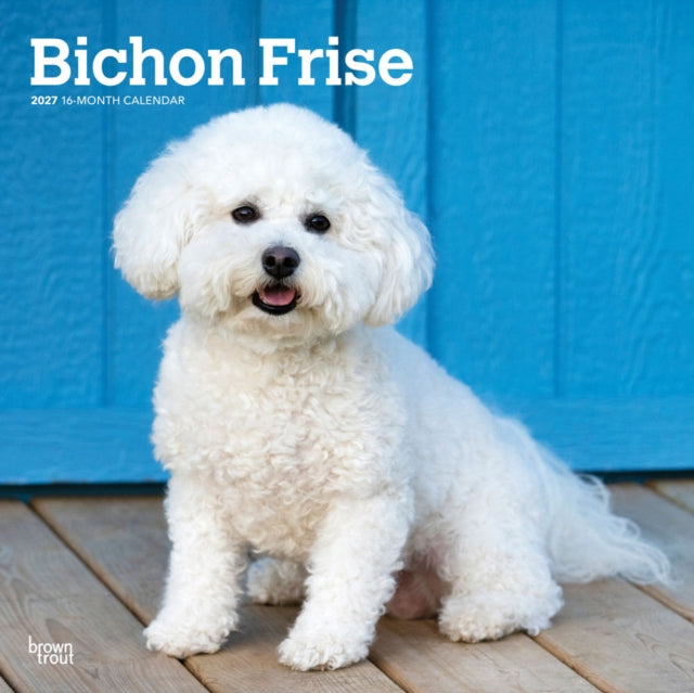 Bichon Frise | 2027 12 x 24 Inch (Hanging) Monthly Square Wall Calendar | Plastic-Free | BrownTrout | Animals Dog Breeds cover