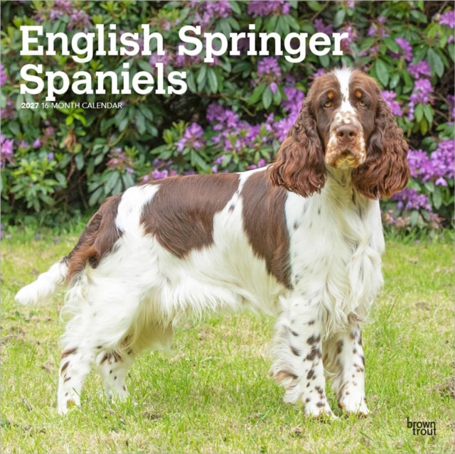 English Springer Spaniels | 2027 12 x 24 Inch (Hanging) Monthly Square Wall Calendar | Plastic-Free | BrownTrout | Animals Dog Breeds cover