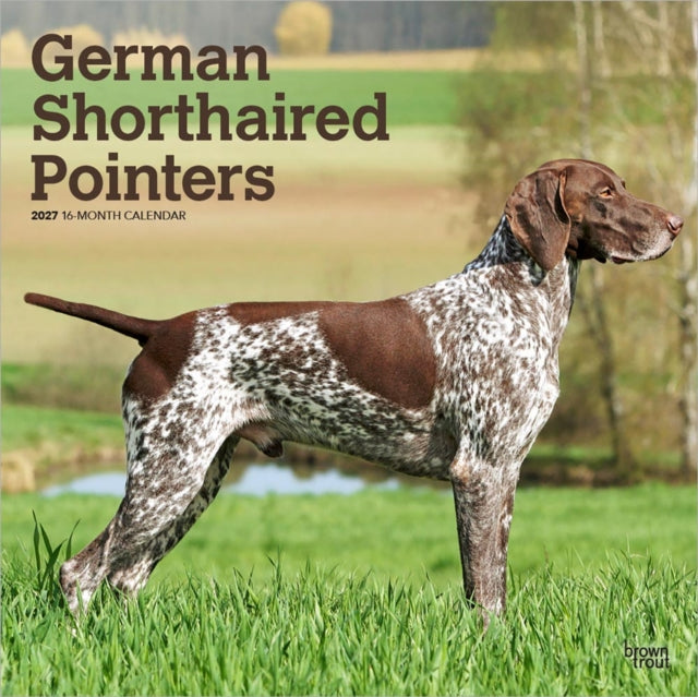 German Shorthaired Pointers | 2027 12 x 24 Inch (Hanging) Monthly Square Wall Calendar | Plastic-Free | BrownTrout | Animals Dog Breeds cover