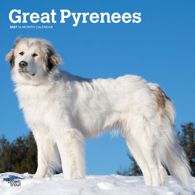 Great Pyrenees 2027 12 X 24 Inch (Hanging) Monthly Square Wall Calendar Plastic-Free cover