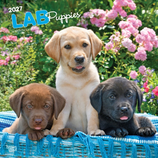 Labrador Retriever Puppies 2027 12 X 24 Inch (Hanging) Monthly Square Wall Calendar Plastic-Free cover
