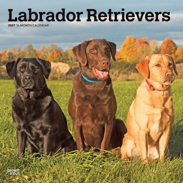 Labrador Retrievers 2027 12 X 24 Inch (Hanging) Monthly Square Wall Calendar Plastic-Free cover