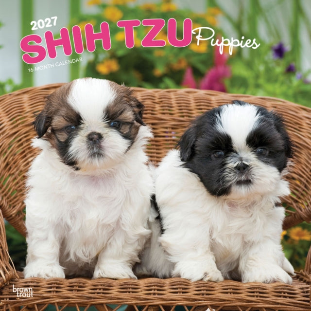 Shih Tzu Puppies 2027 12 X 24 Inch (Hanging) Monthly Square Wall Calendar Plastic-Free cover