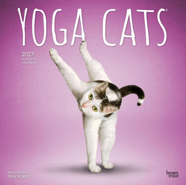 Yoga Cats Official 2027 12 X 24 Inch (Hanging) Monthly Square Wall Calendar Plastic-Free cover