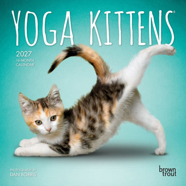 Yoga Kittens Official 2027 7 X 14 Inch (Hanging) Monthly Mini Wall Calendar cover