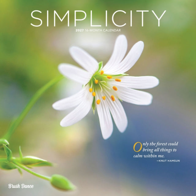 Simplicity 2027 12 X 24 Inch (Hanging) Monthly Square Wall Calendar Plastic-Free cover