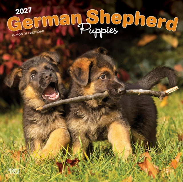 German Shepherd Puppies | 2027 12 x 24 Inch (Hanging) Monthly Square Wall Calendar | Plastic-Free | BrownTrout | Animals Dog Breeds Puppy cover