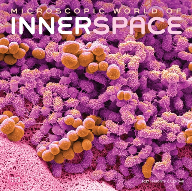 Microscopic World of Innerspace | 2027 12 x 24 Inch (Hanging) Monthly Square Wall Calendar | Plastic-Free | BrownTrout | Science Space Exploration Nature cover