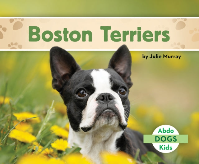 Boston Terriers cover