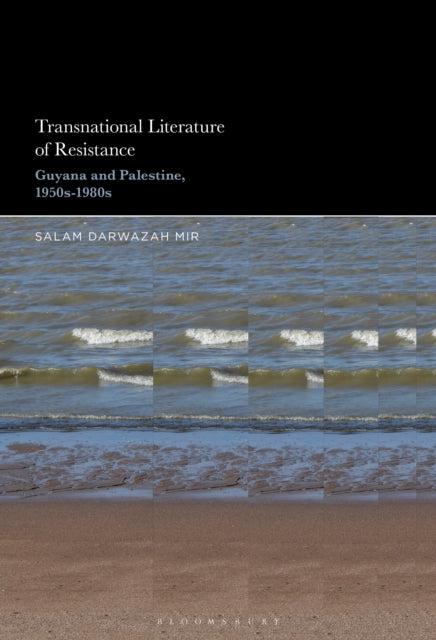 Transnational Literature of Resistance cover