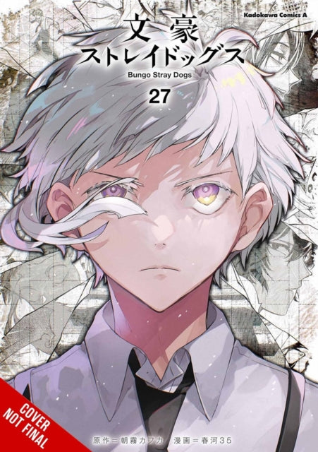 Bungo Stray Dogs, Vol. 27 cover