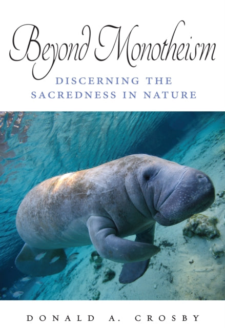Beyond Monotheism cover