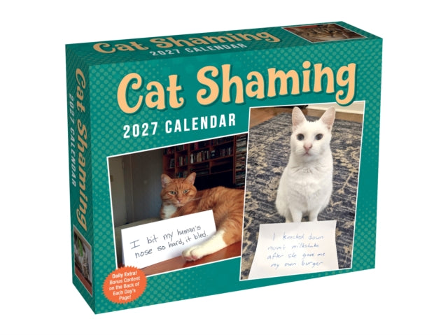 Cat Shaming 2027 Day-to-Day Calendar cover