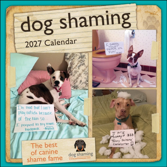 Dog Shaming 2027 Wall Calendar cover