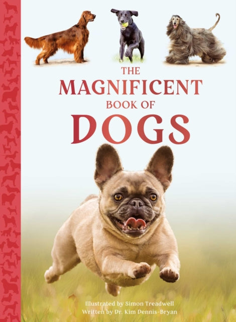 The Magnificent Book of Dogs cover