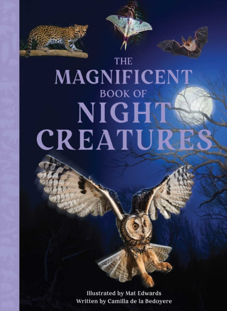 The Magnificent Book of Night Creatures cover