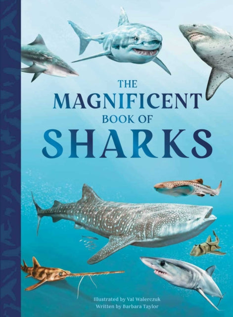 The Magnificent Book of Sharks cover