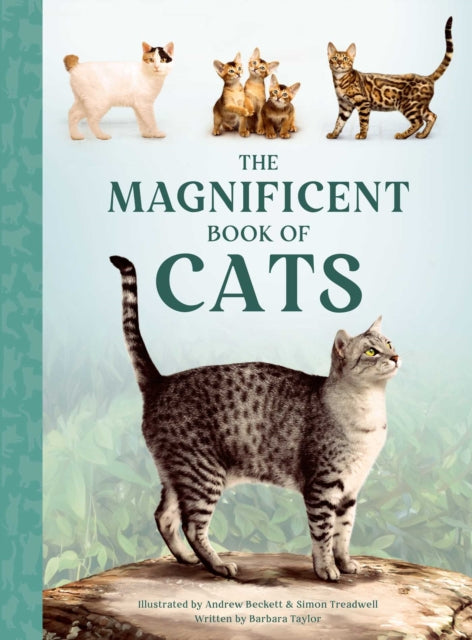 The Magnificent Book of Cats cover