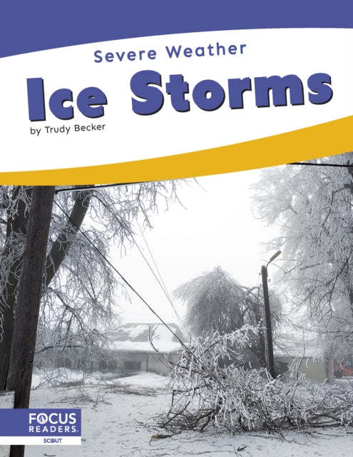 Ice Storms cover