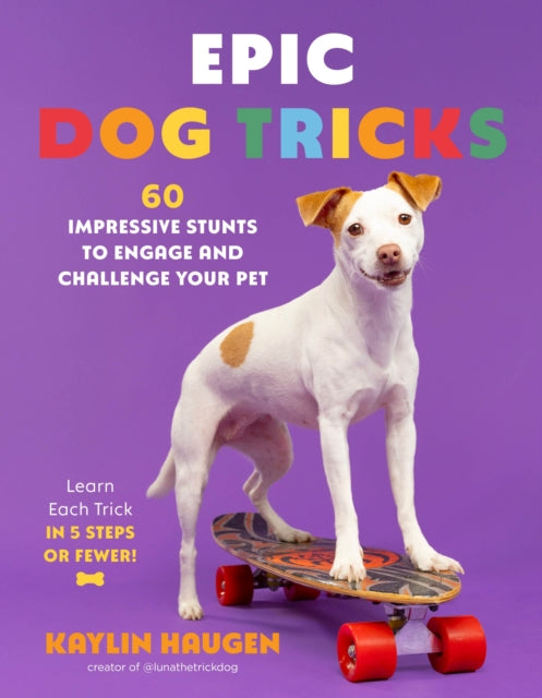 Epic Dog Tricks cover