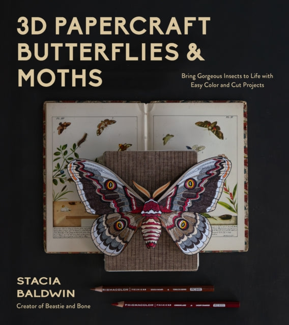 3D Papercraft Insects cover