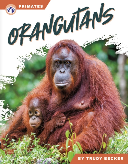 Orangutans cover