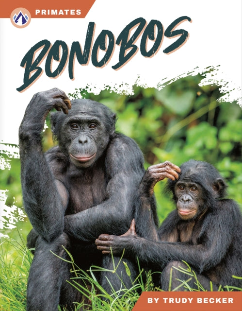Bonobos cover