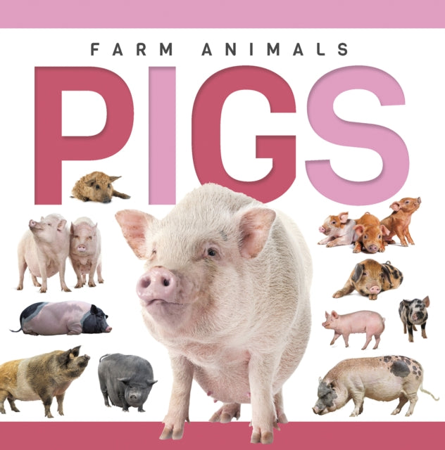 Pigs cover