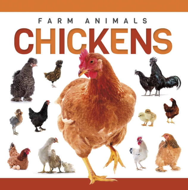 Chickens cover