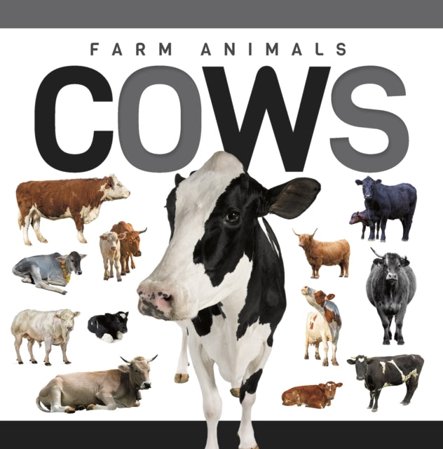 Cows cover
