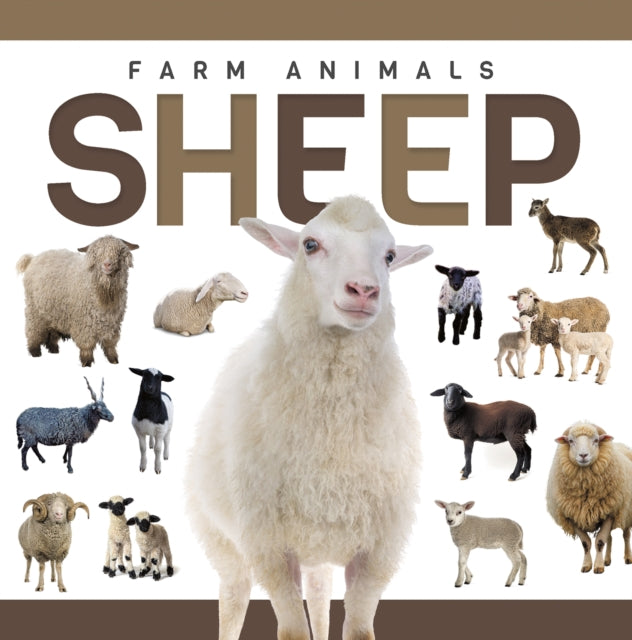 Sheep cover