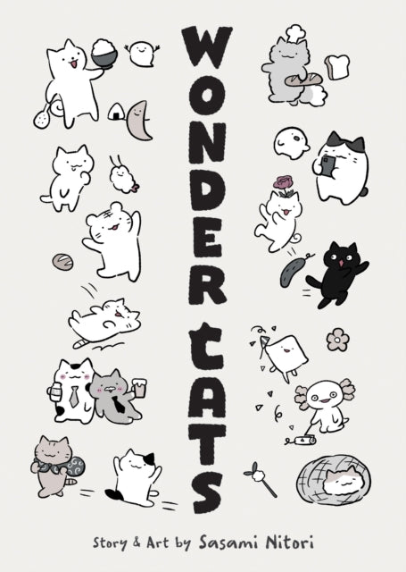 WONDER CATS cover
