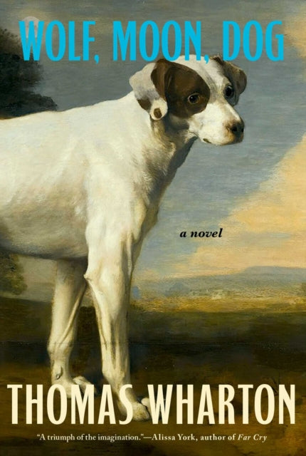 Wolf, Moon, Dog cover
