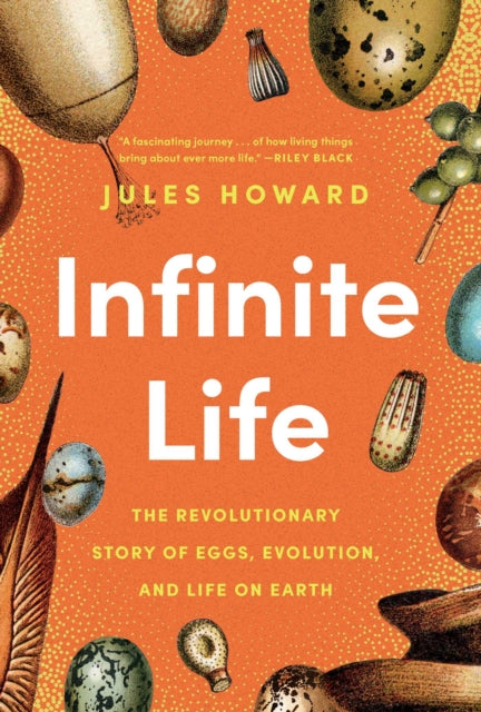 Infinite Life cover