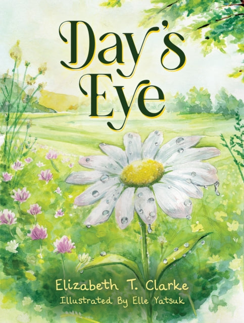 Day's Eye cover