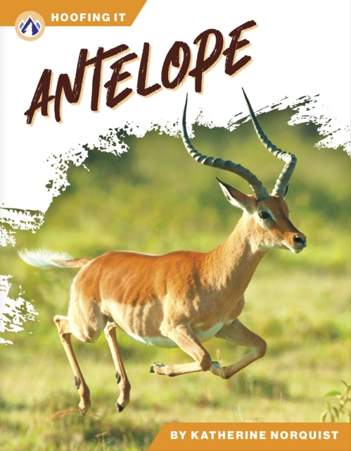 Antelope cover