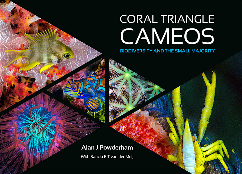 Coral Triangle Cameos: Biodiversity and the small majority