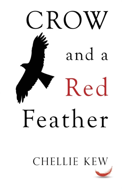 Crow and a Red Feather