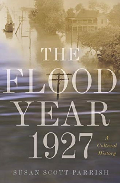 Flood Year 1927: A Cultural History