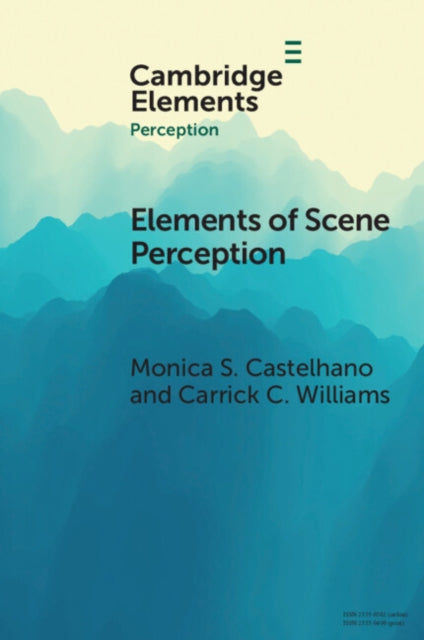 Scene Perception