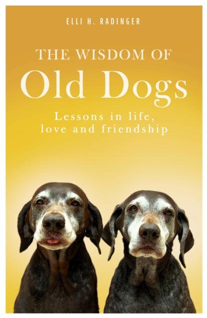 Wisdom of Old Dogs: Lessons in life, love and friendship