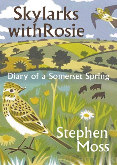 Skylarks with Rosie: A Somerset Spring