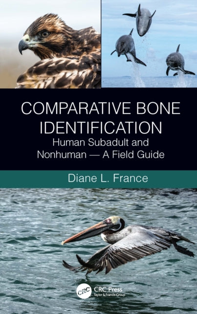 Comparative Bone Identification: Human Subadult and Nonhuman  - A Field Guide